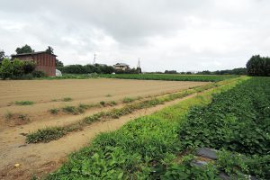 茨城町長岡 不動産 売地